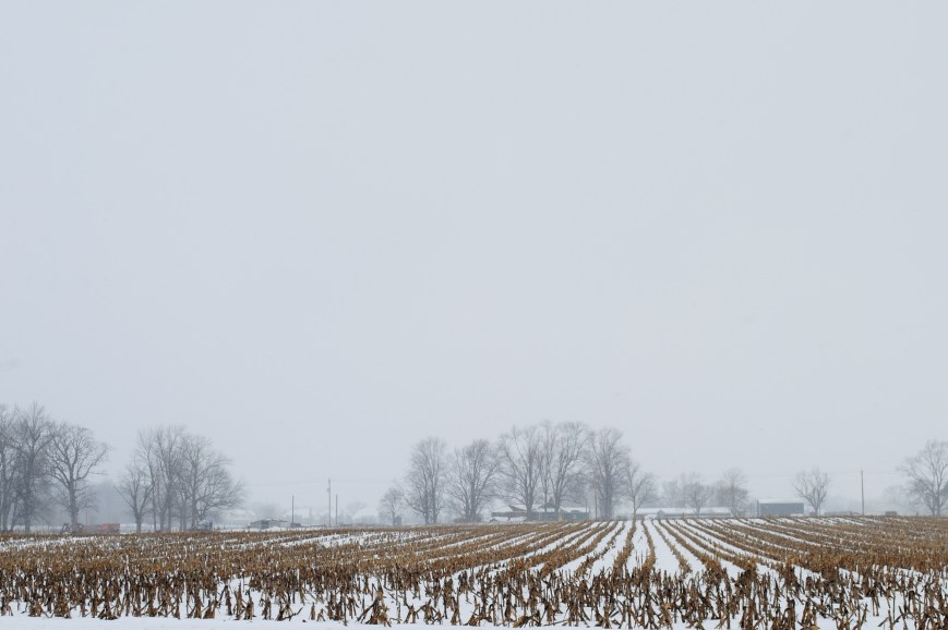 Snow in the Season of New