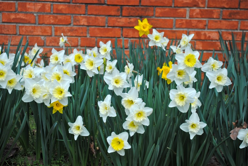 Easter Favorites 2013