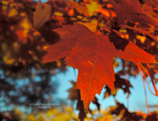 A Prayer for More Grace