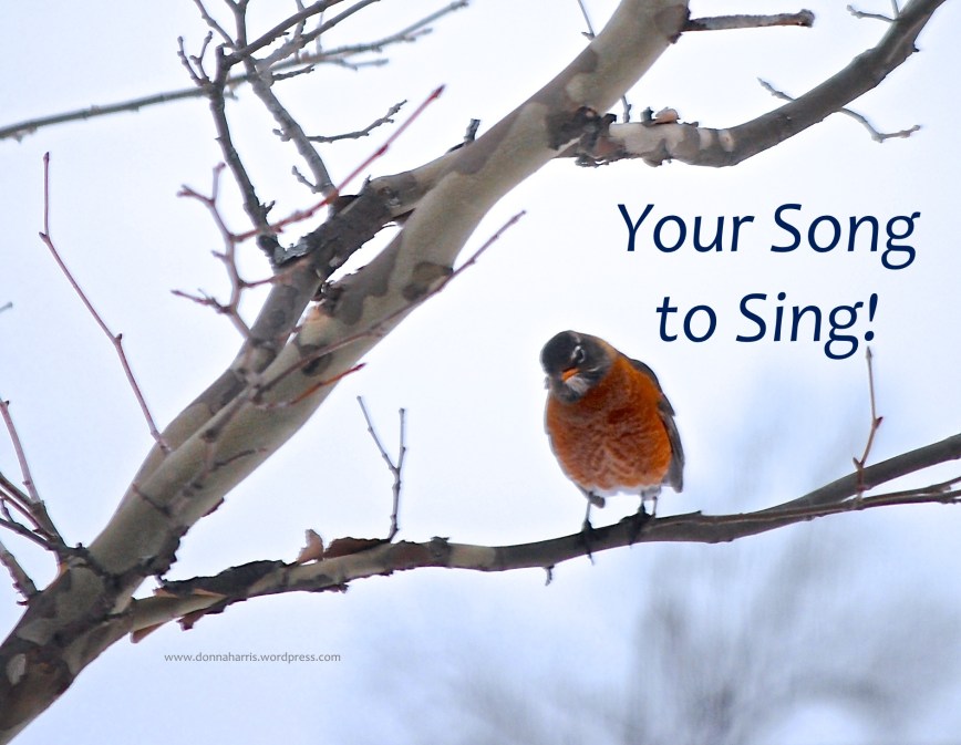 Your Song to Sing!