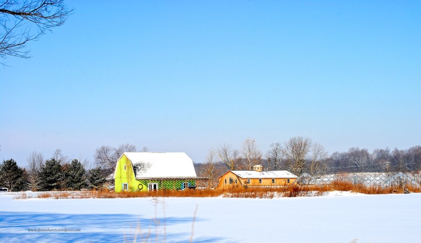 Green and Orange Barn
