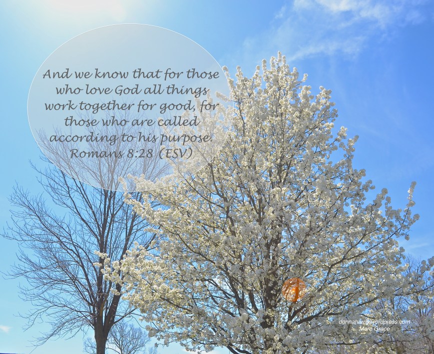 A Staggering Promise 1