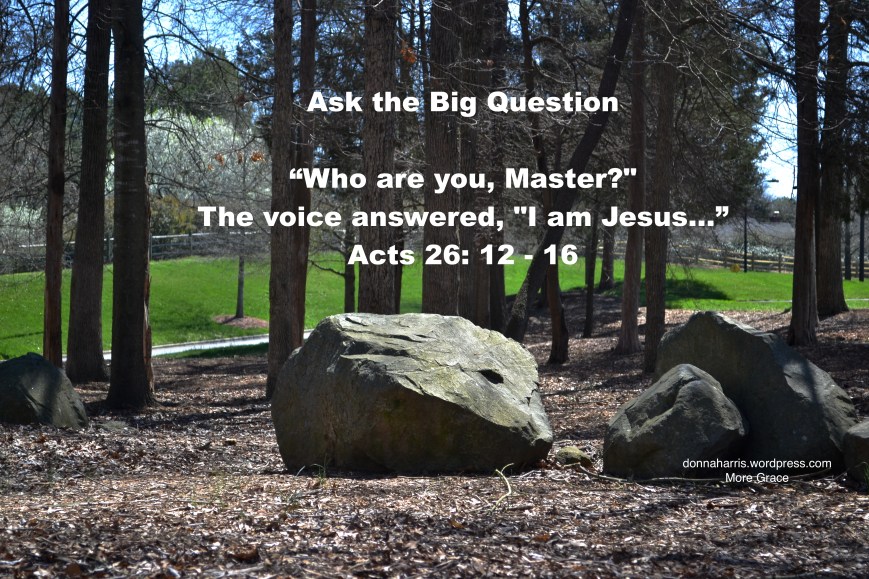 Ask the Big Question 1