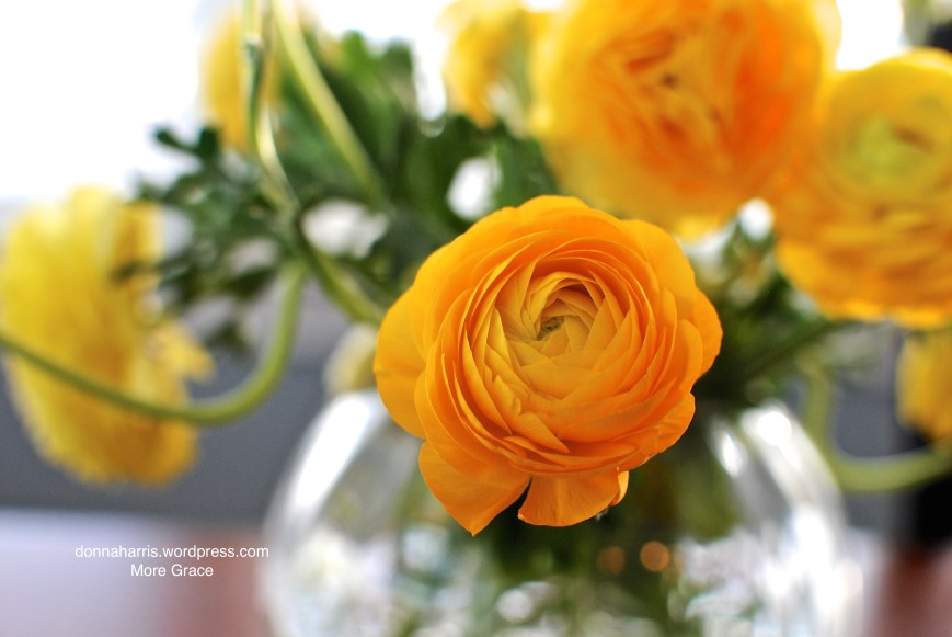 To set my hope on Christ 2