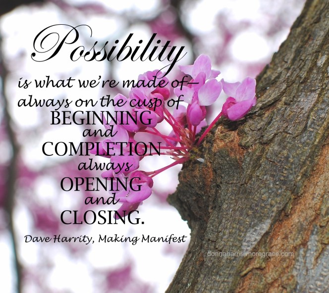 Possibility