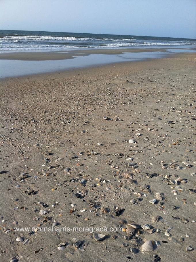 Wandering in Summer Memories