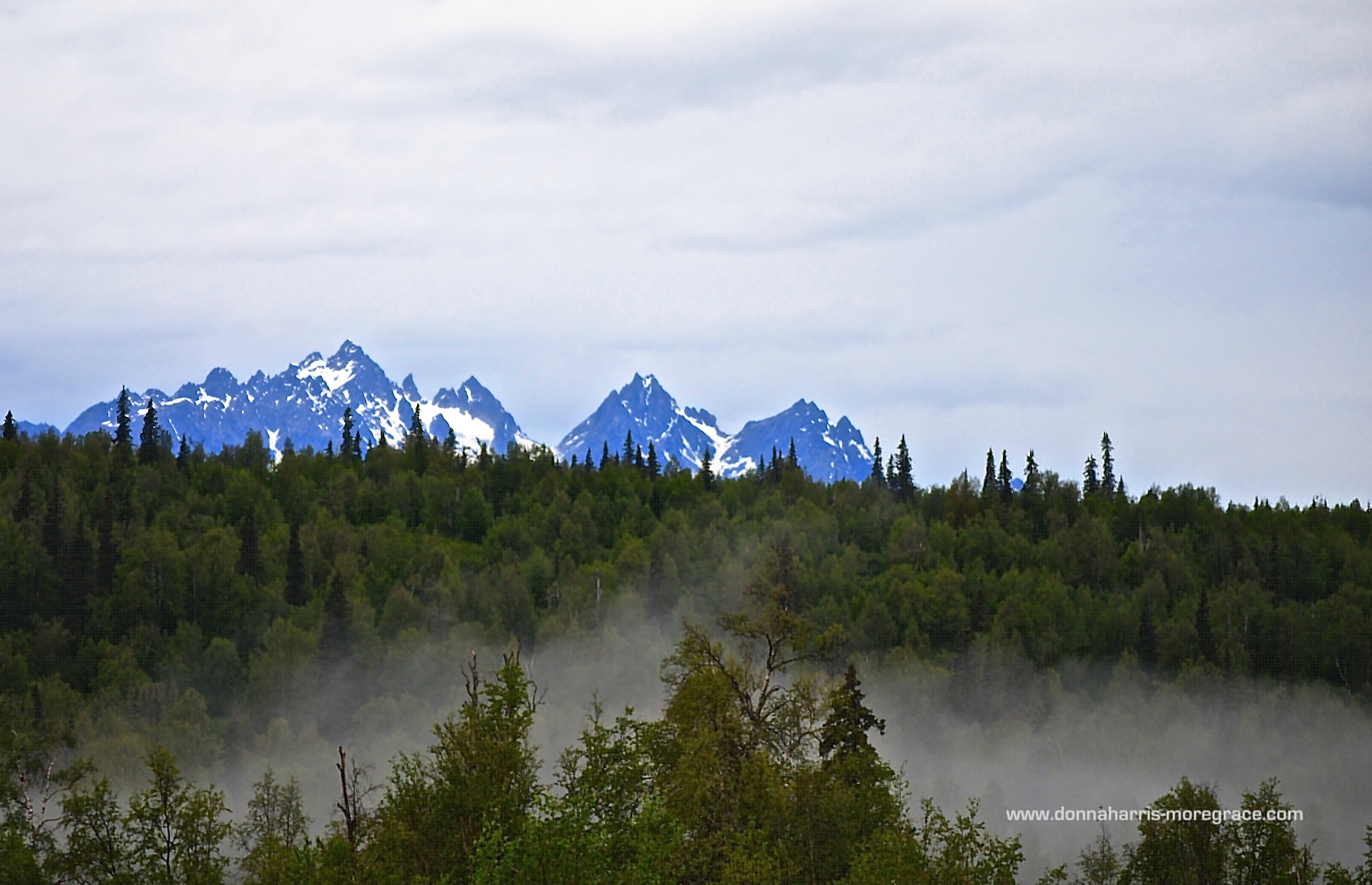 Gift 1-2015 Psalm 90