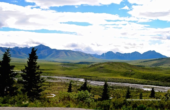 The Promise Gift 2-2015