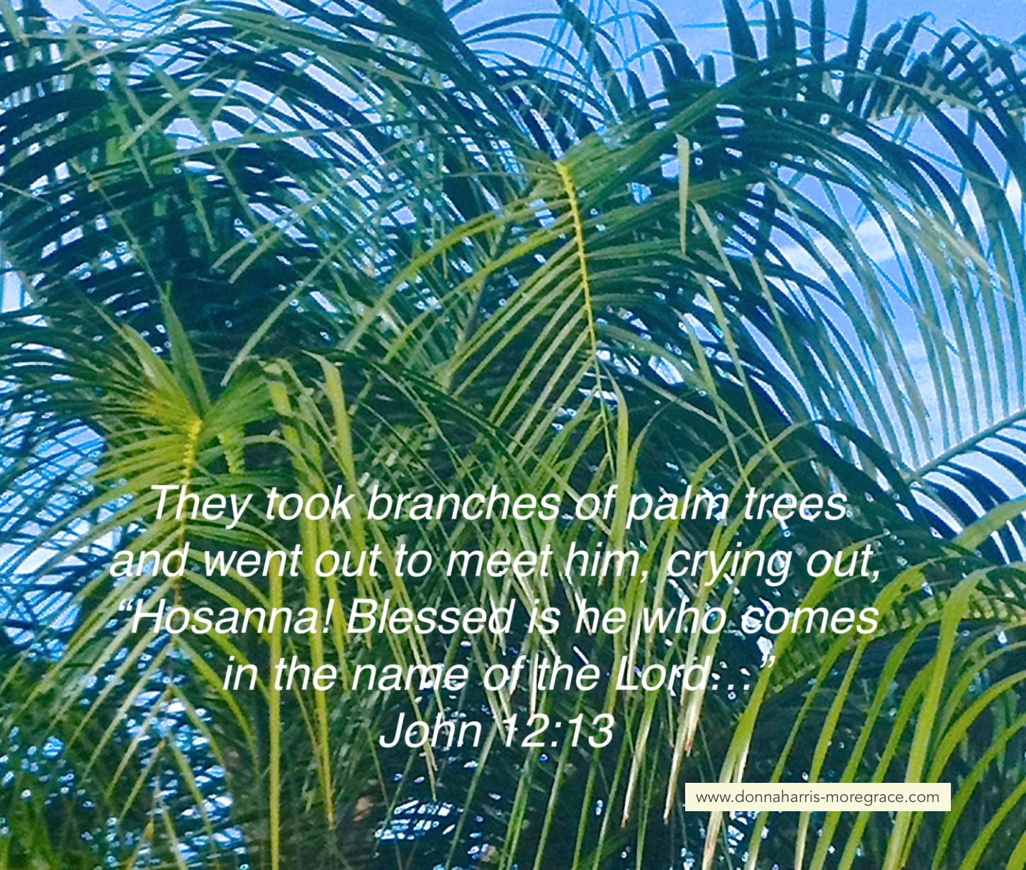 Palm Sunday 2018